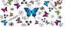 Butterflies UV DTF 3006